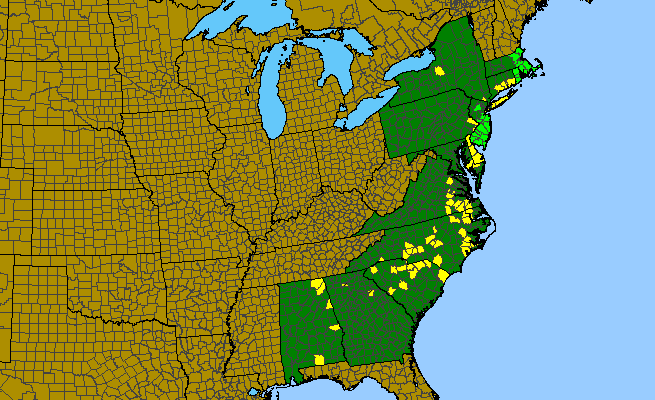 The range of Eurybia spectabilis